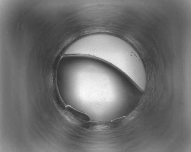 X0000067870158200604131024