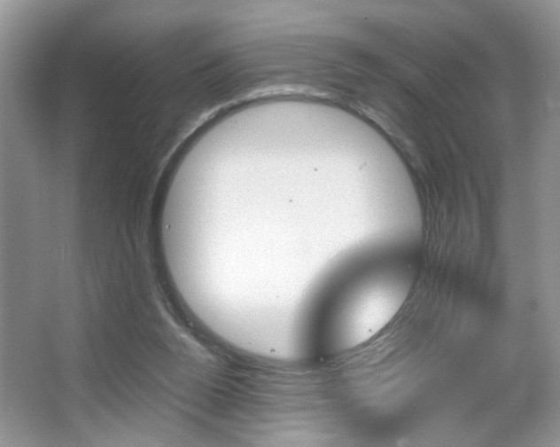 X0000067870160200604131024