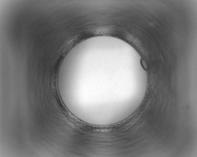 X0000067870161200604131024