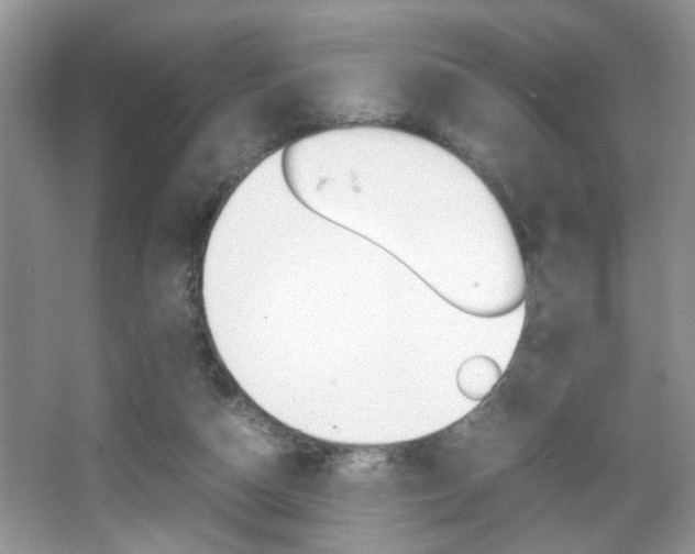 X0000067870162200604131024