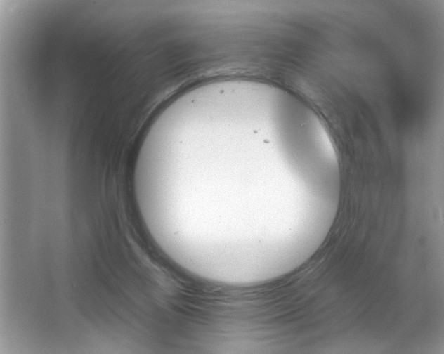 X0000067870164200604131024