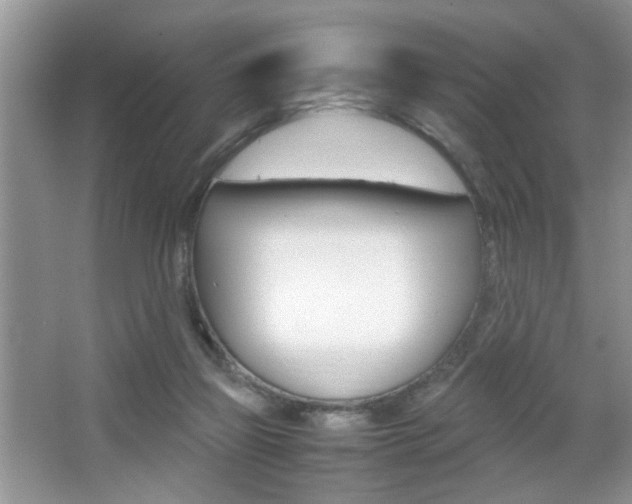 X0000067870165200604131024