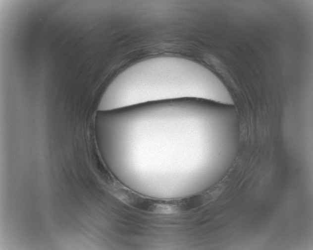 X0000067870167200604131024