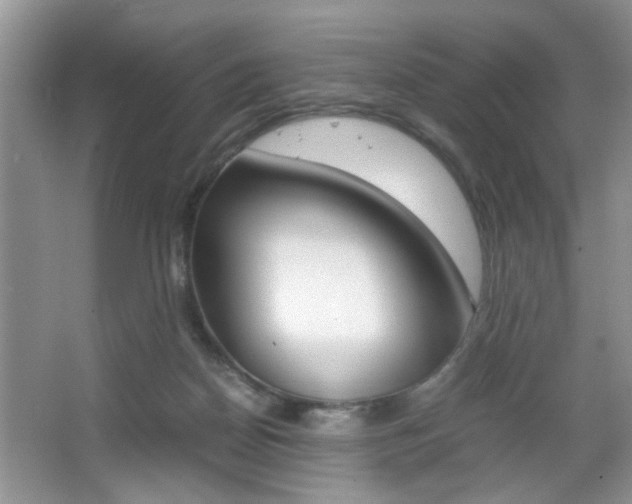 X0000067870170200604131024