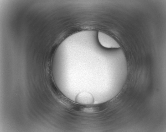 X0000067870171200604131024