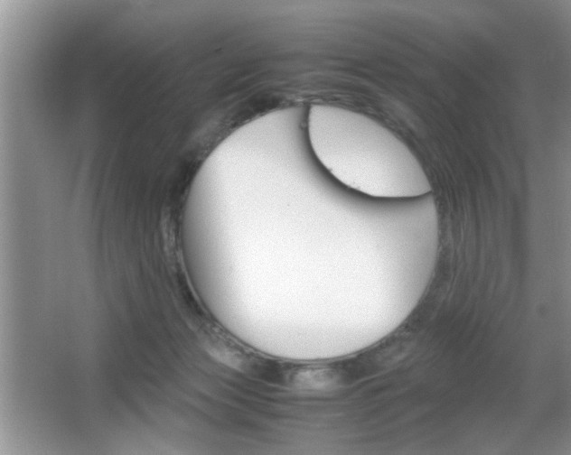 X0000067870173200604131024