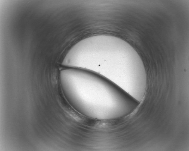 X0000067870174200604131024