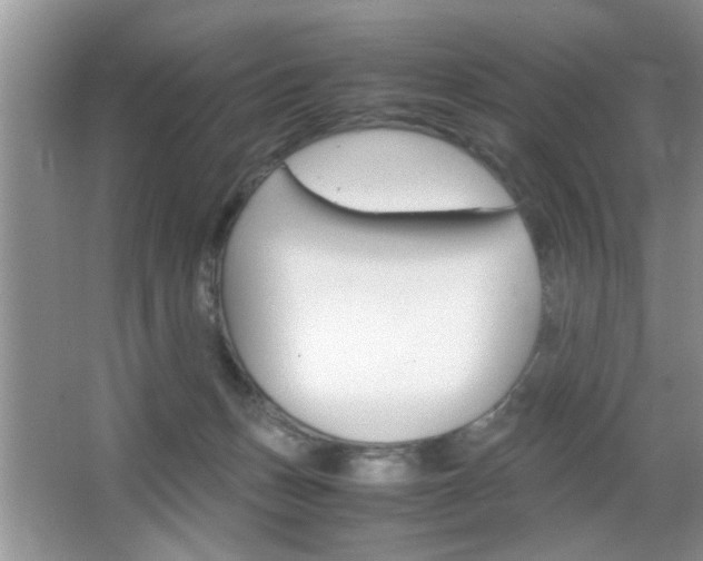 X0000067870175200604131024