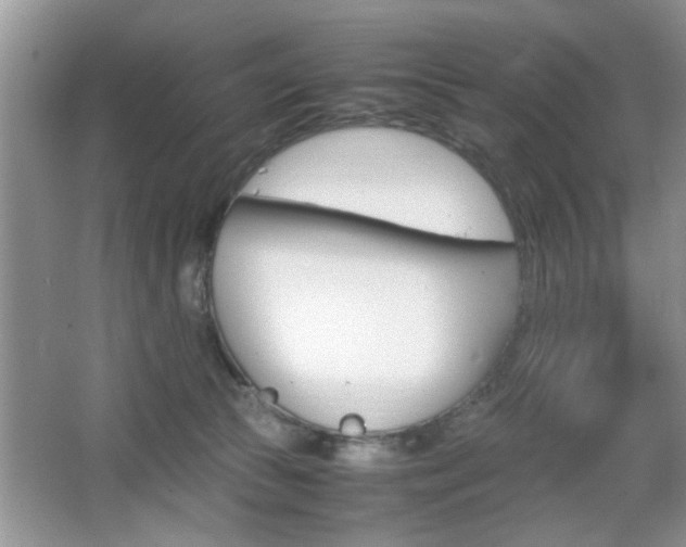 X0000067870177200604131024