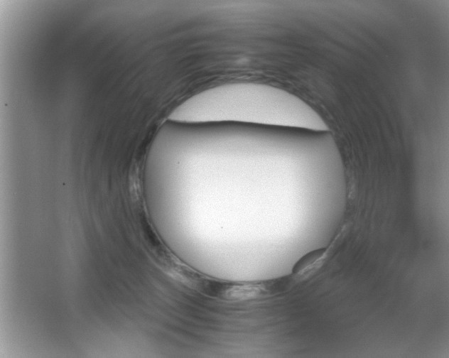 X0000067870179200604131024