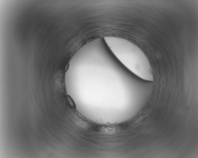 X0000067870181200604131024