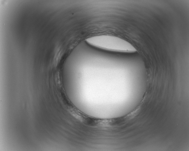 X0000067870182200604131024