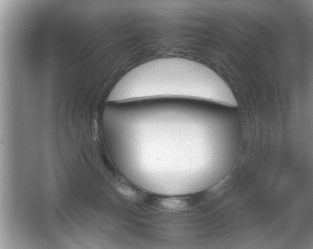 X0000067870183200604131024