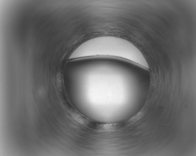 X0000067870184200604131024