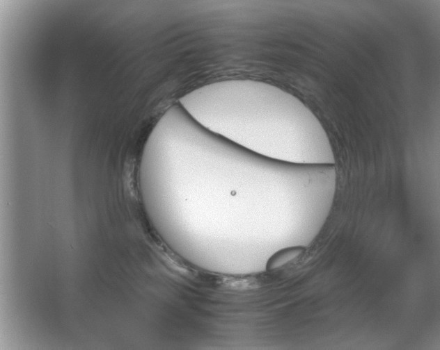 X0000067870185200604131024