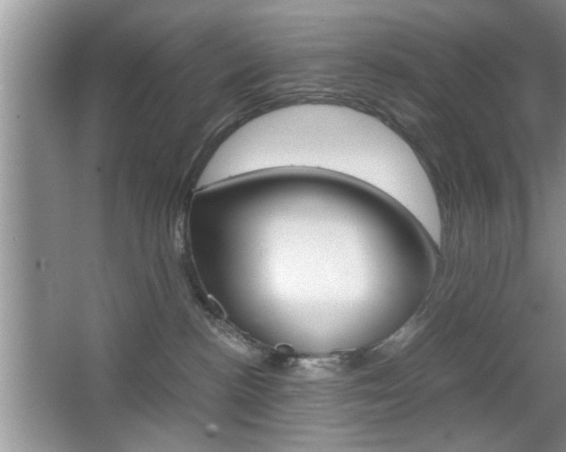 X0000067870188200604131024