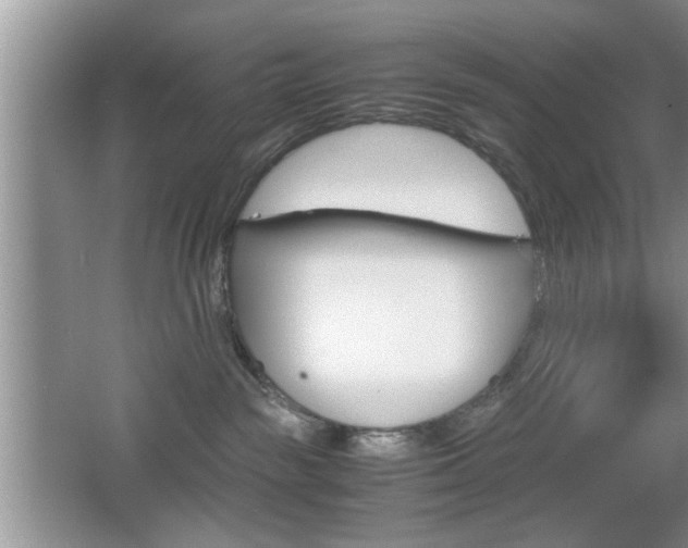 X0000067870189200604131024