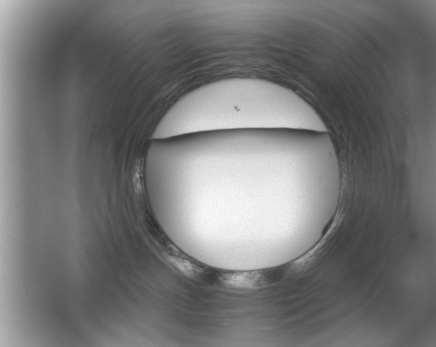 X0000067870191200604131024