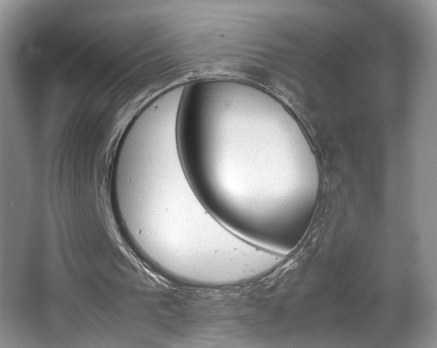 X0000067870193200604131023