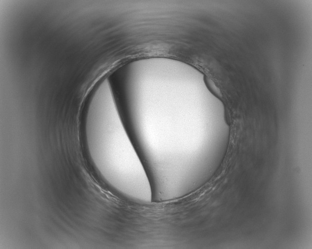 X0000067870194200604131023