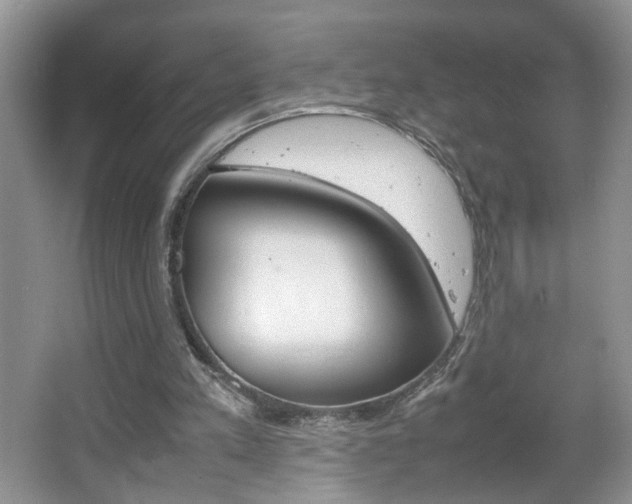 X0000067870197200604131023