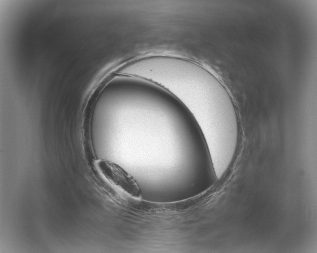 X0000067870199200604131023