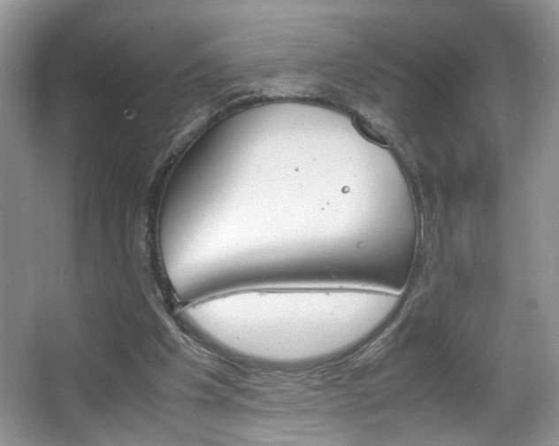 X0000067870201200604131023