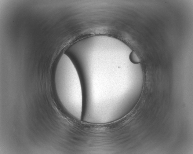 X0000067870202200604131023