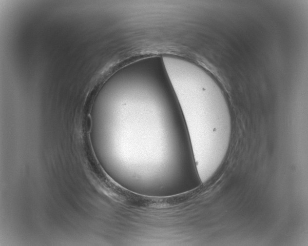 X0000067870203200604131023