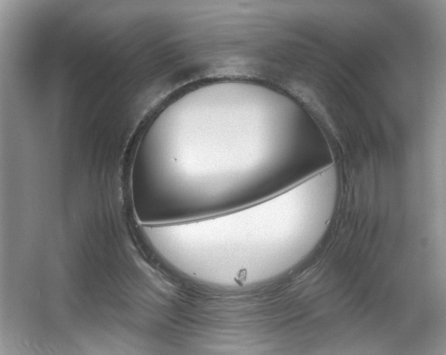 X0000067870204200604131023