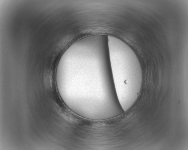 X0000067870206200604131023