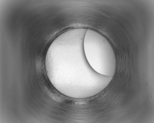 X0000067870208200604131023