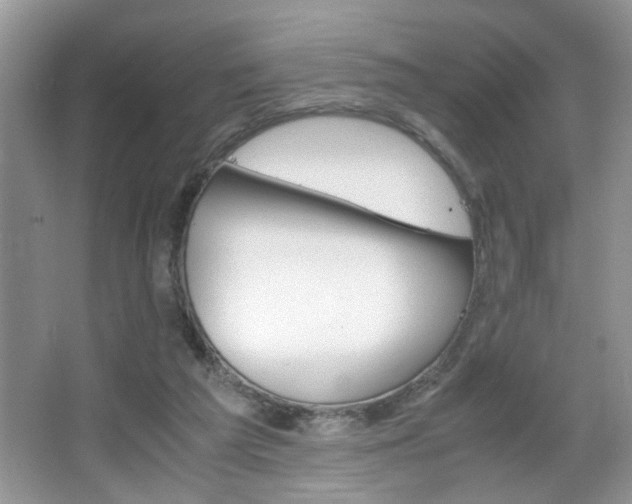 X0000067870209200604131023