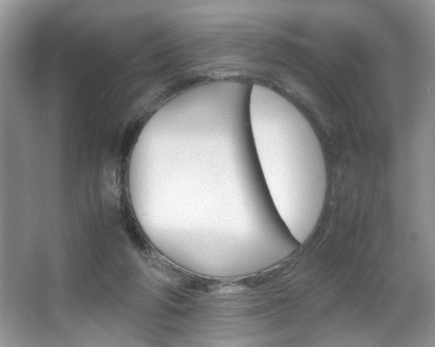 X0000067870210200604131023