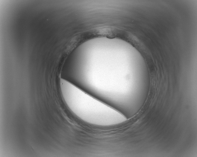 X0000067870213200604131023