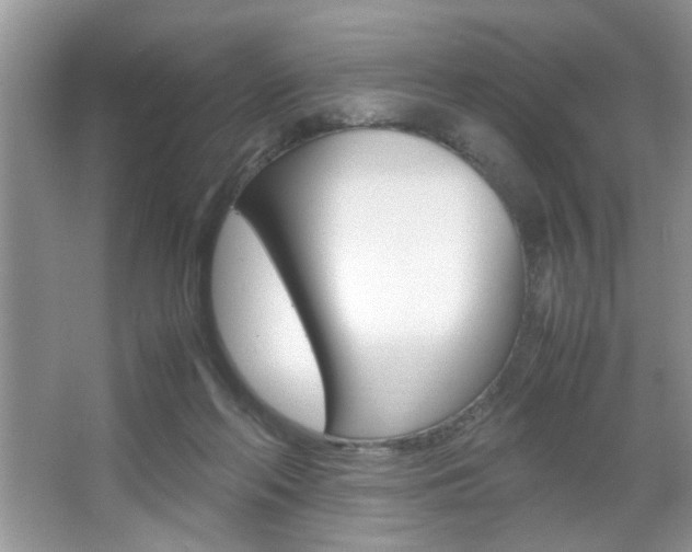 X0000067870214200604131023