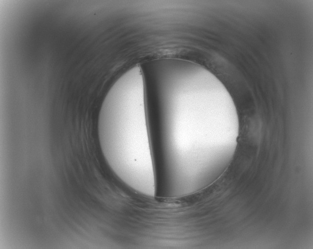 X0000067870220200604131023