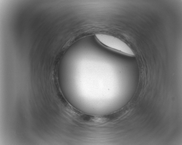 X0000067870221200604131023