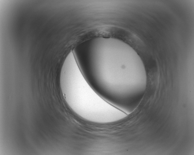 X0000067870223200604131023