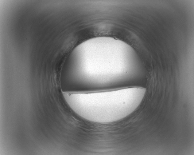 X0000067870224200604131023