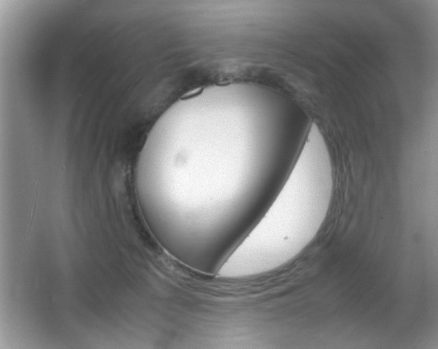 X0000067870225200604131023