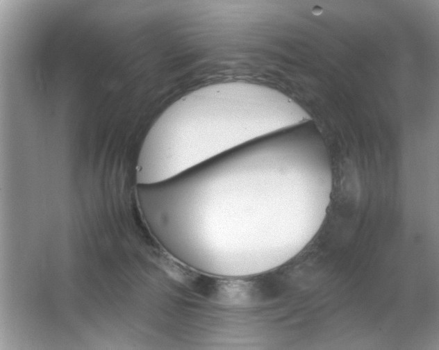 X0000067870226200604131023