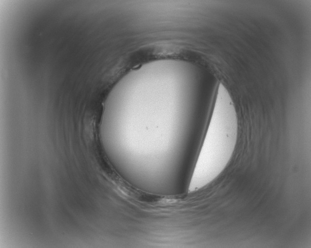 X0000067870227200604131023