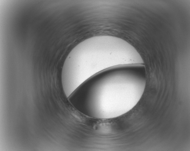 X0000067870228200604131023