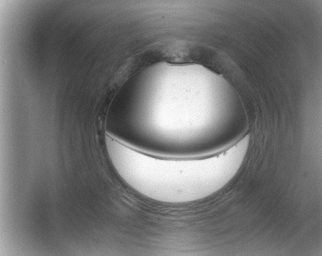 X0000067870229200604131023