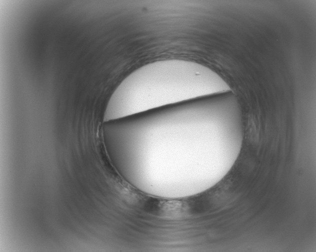 X0000067870230200604131023