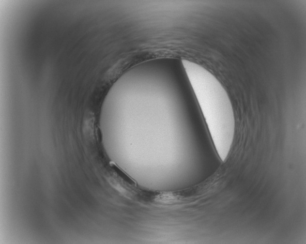 X0000067870231200604131023