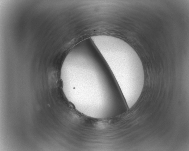 X0000067870232200604131023