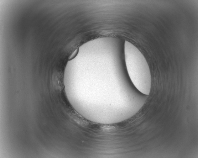 X0000067870234200604131023