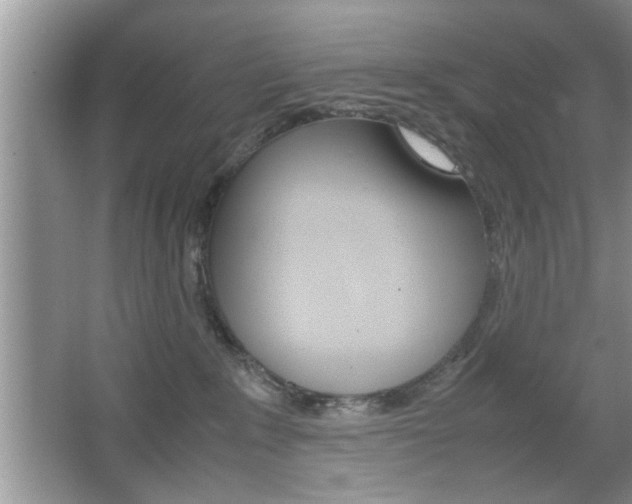 X0000067870235200604131023